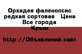 Орхидея фаленопсис редкая сортовая › Цена ­ 800 - Все города  »    . Крым